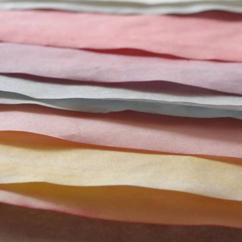 pflanzenfarbenpapier