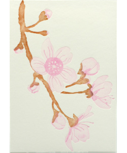 Letterpress Karte Sakura
