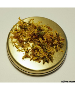 Räucherkraut Johanniskraut