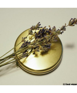 lavendel