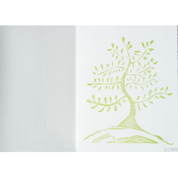 baum2bs 1701796324
