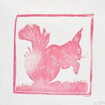Linoldruck Karte Eichhörnchen