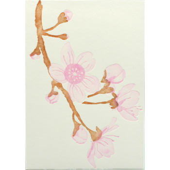 Letterpress Karte Sakura