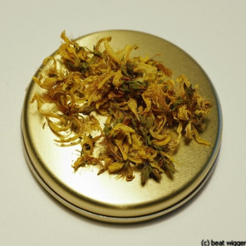 Räucherkraut Johanniskraut