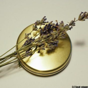 lavendel